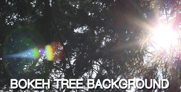 Bokeh Tree Background 11