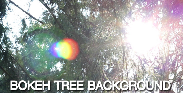 Bokeh Tree Background 12