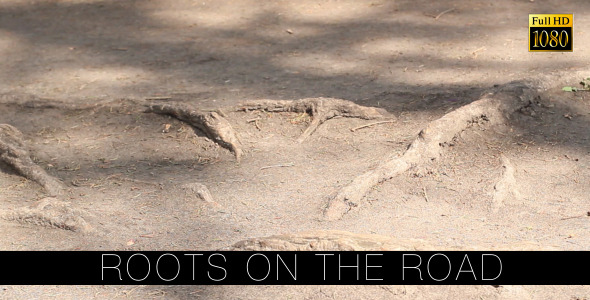 Roots On The Road