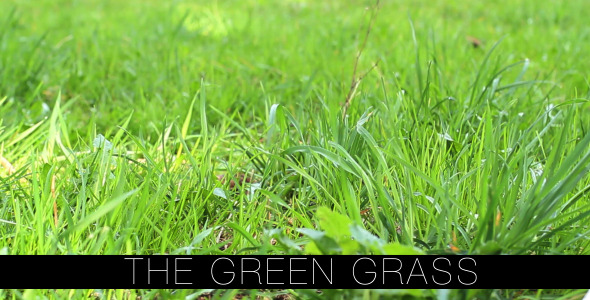 The Green Grass 2