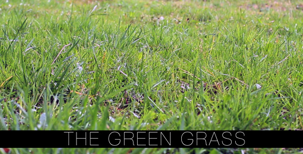 The Green Grass 3