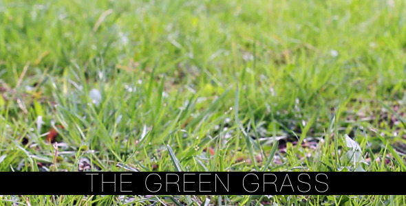 The Green Grass 4