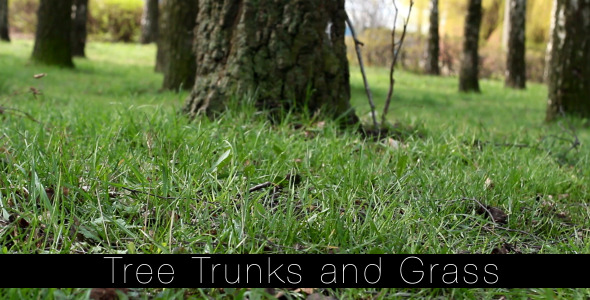 Tree Trunks and Grass