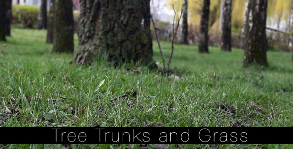 Tree Trunks and Grass 3