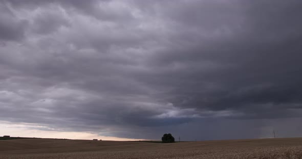 Cloudy Sky Over A Wheat Field