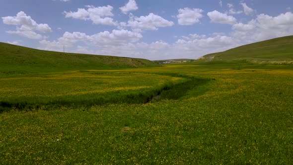 Alpine Meadows