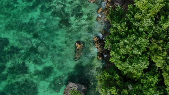 top down view of green forest coastline with rocky turquoise ocean shore in Uluwatu Bali, aerial