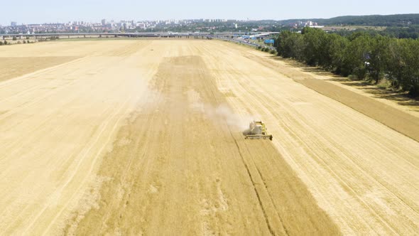 Aerial Drone Shot  a Combine Harvester Works in a Field in a Rural Area on a Sunny Day