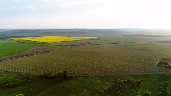 Aerial View Of Agricultural Land In Europe With Orchards And Fields.