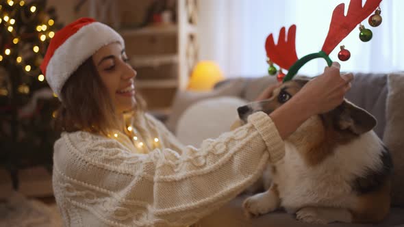 Broll Beautiful Smiling Woman in Santa Hat Wears Reindeer Antlers Headband on Funny Welsh Corgi Dog