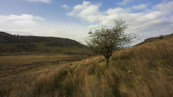 Time lapse of rural and remote landscape of grass, trees and rocks during the day in hills of Carrow