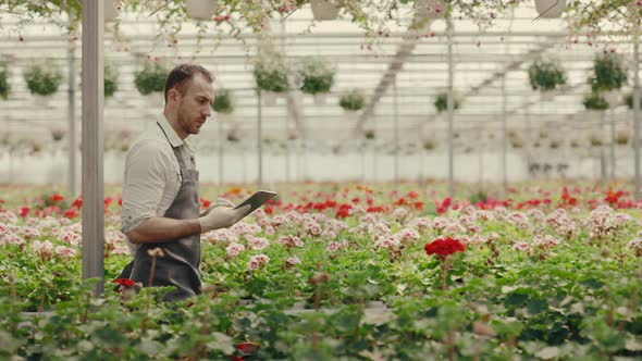 Side View of a Male Greenhouse Worker Walking in the Green House Calculating Flowers Holding the