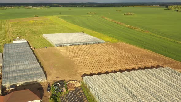 The farmer greenhouses on the agricultural field