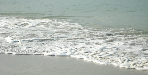 Beach and Wave