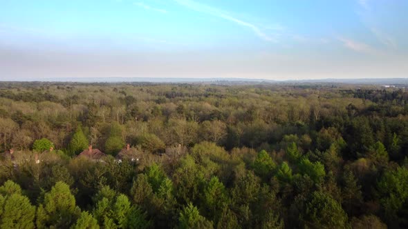 Drone shot flying over trees and forest in summer in Surrey, England