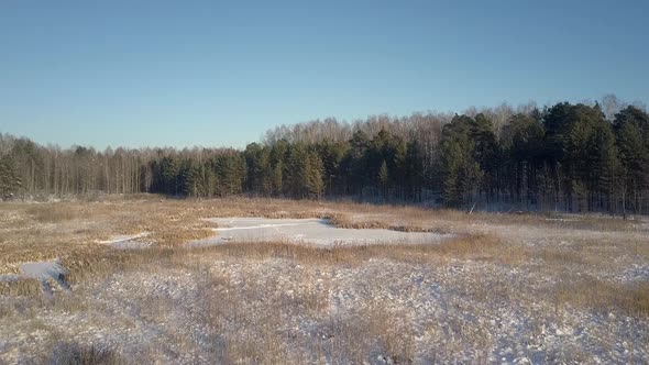 Bird Eye View Forest Glade Covered with Snow and Footprints