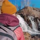 Woman Enjoys Nature Looking at Waterfall - VideoHive Item for Sale