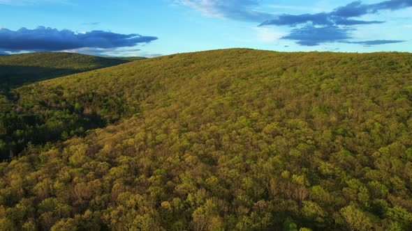 Aerial drone video footage of a vast endless forest with rolling green hills in the Appalachian Moun