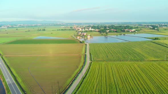 Aerial: flying over rice paddies, flooded cultivated fields farmland rural italian countryside