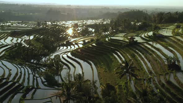 Jatiluwih Rice Terraces Ubud Bali Aerial view from drone.