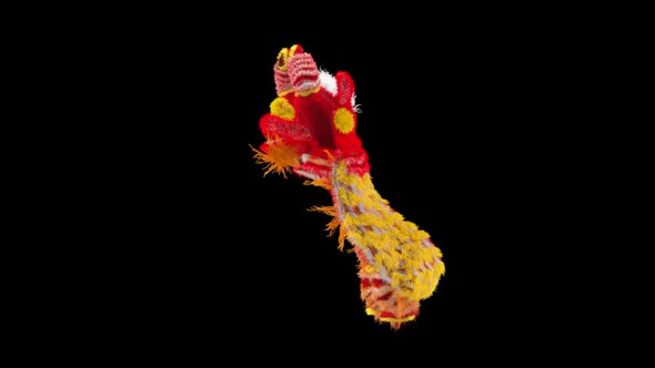 41 Chinese New Year Lion Dancing HD