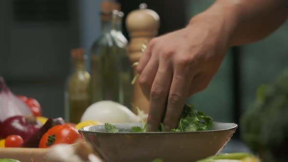 Professional Chef Washes Cilantro Leaves