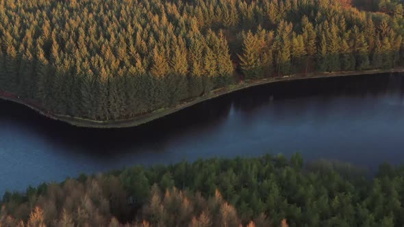 Drone flight over a lake and forest at sunrise