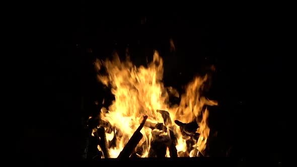 Burning Woods and Fire in the Dark Slow Motion