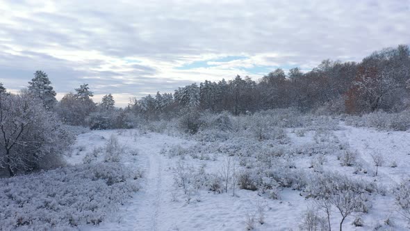 Morning in the snowed forest 4K aerial footage