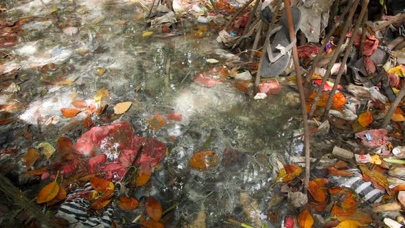 Huge Dump in Tropical Mangrove Tree Forest