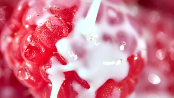Macro Shot Stream of White Liquid Pours on Ripe Fresh Red Raspberry Stucking in Villi and Hairs