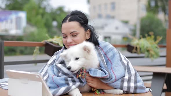 Japanese Spitz dog. A girl warms a dog with a warm blanket on a cold autumn day. 