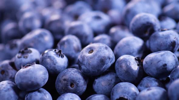 Blueberry Berries Closeup Juicy Ripe Summer Berry