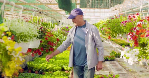 Confident Male Gardener Examining Potted Flower Plant