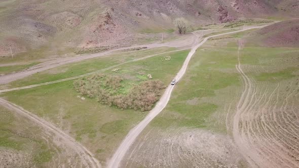 The Minibus Goes on the Green Steppe