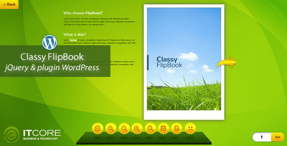 Classy FlipBook Responsive WordPress Plugin