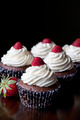 Chocolate Cupcakes With Vanilla Icing and Strawberries - PhotoDune Item for Sale