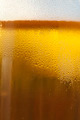 Draft Beer in a Glass Mug - PhotoDune Item for Sale