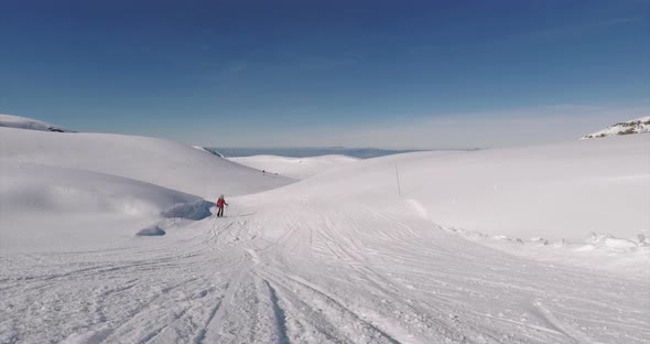 top view of a woman skying