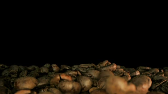 Close up of seeds of coffee. Fragrant coffee beans. Slow Motion Macro shot.