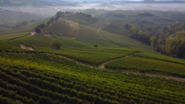 Langhe Vineyards Aerial View