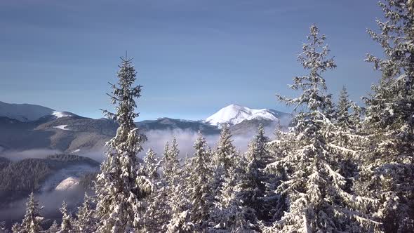 Flying Over Beautiful Landscape of Winter Mountains