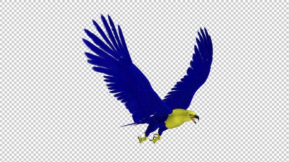 Ukraine Eagle - Flying Loop - Side Angle - 4K - Alpha Channel alt