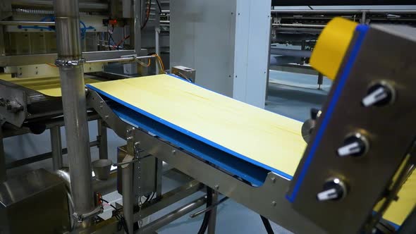 many types of high quality pasta been produced at a large modern pasta factory.