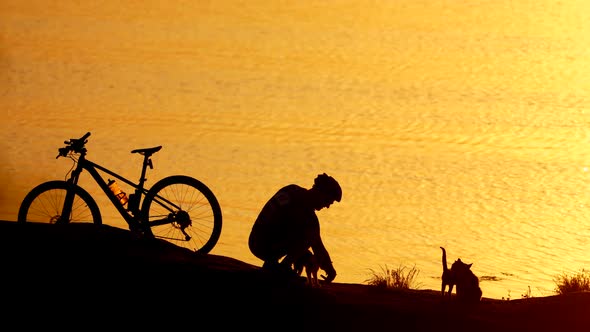 Three cats, a bike, cyclist near the beautiful river at sunset. Man in sports clothing with helmet