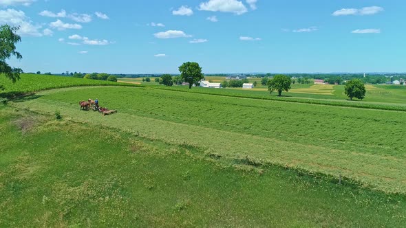 Aerial View of an Amish Farmer with Three Horses Harvesting His Crops