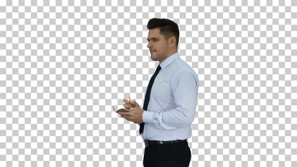 Confident Serious Smart Businessman Having, Alpha Channel