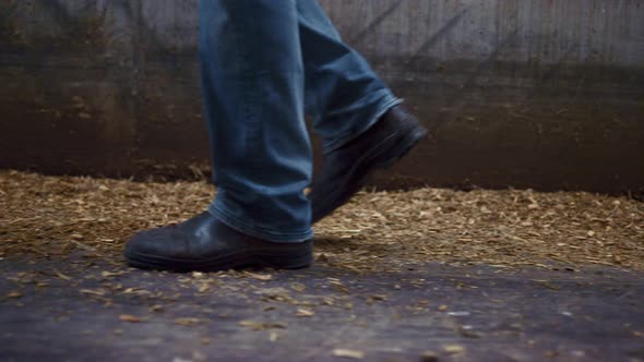 Farmer Legs Walking Cowshed on Straw Closeup
