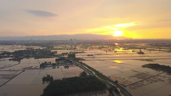 Magnificent sunset view at paddy field