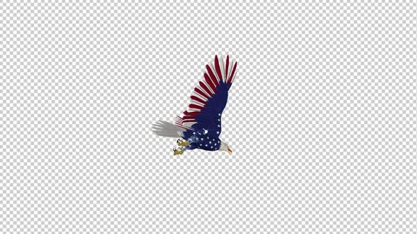 American Eagle - USA Flag - Flying Loop - Down Angle